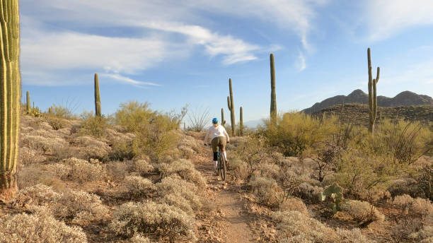 istock Female mountain biker follows trail, in desert 1358261202