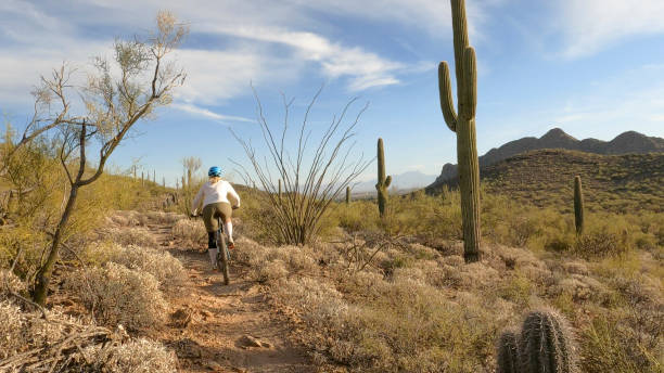 istock Female mountain biker follows trail, in desert 1358261203