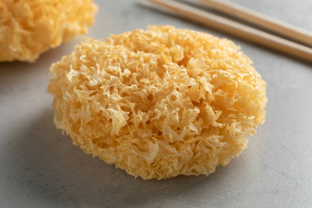 istock Dried white fungus close up 1358261232