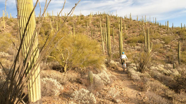 istock Female mountain biker follows trail, in desert 1358261314