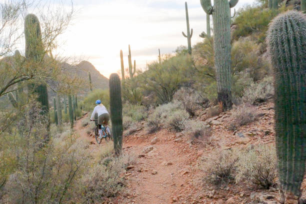 istock Female mountain biker follows trail, in desert 1358261413