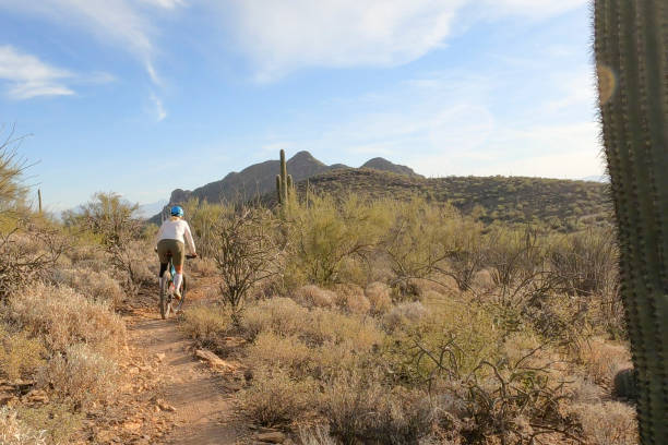 istock Female mountain biker follows trail, in desert 1358261950