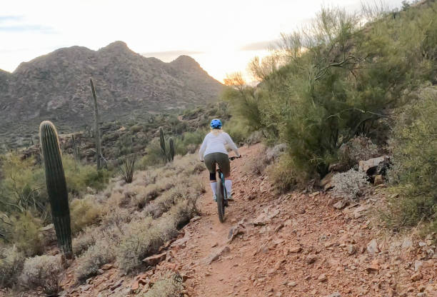 istock Female mountain biker follows trail, in desert 1358261978