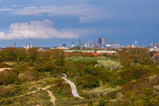 The Hague, Netherlands - May 14, 2021: people walking in the dunes of Westduinpark along the coast with the skyline of The Hague  in the background