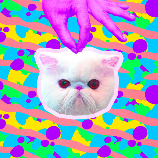 istock Minimal Contemporary collage art. Hand holding a displeased cat head. Aggression, selfishness, anger emotions concept 1358266563