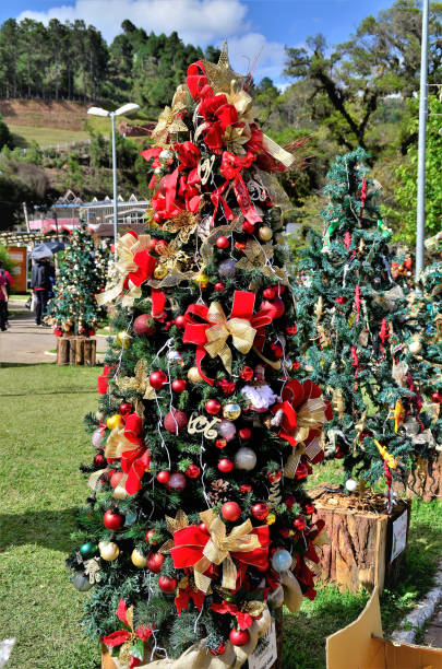 istock Several decorated Christmas trees in Pinho Bravo square 1358272533