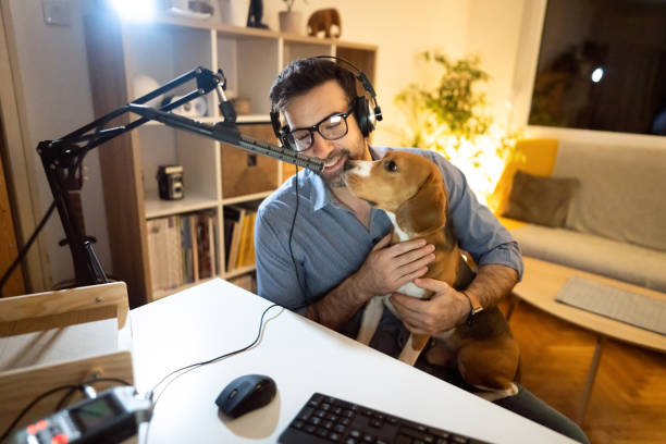 Curious Beagle dog exploring recording equipment, while his owner recording podcast Modern Caucasian man, late at night from his home studio recording his podcast while his cute Beagle dog makes him company beagle channel photos stock pictures, royalty-free photos & images