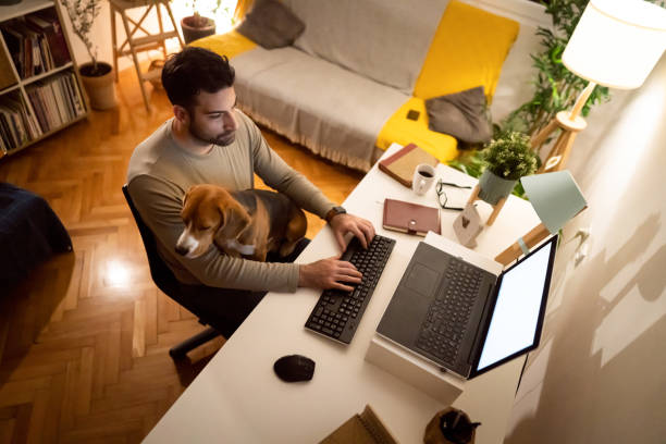 istock Modern man working on laptop, late at night while his Beagle dog sitting in his lap 1358273314