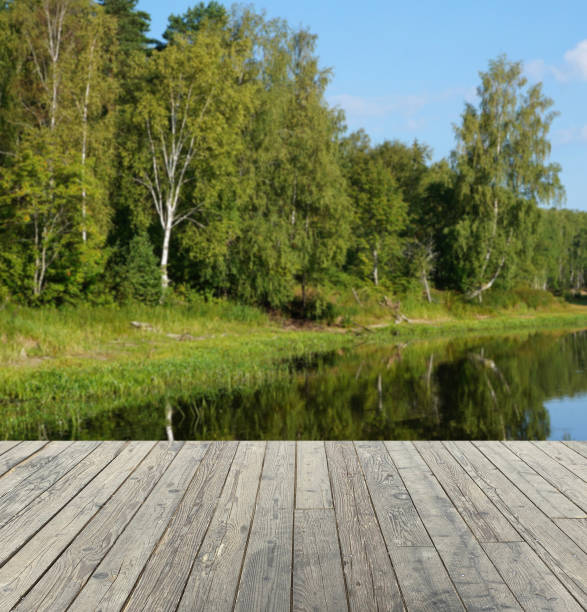 istock empty boardwalk on the shore of a forest lake 1358273589