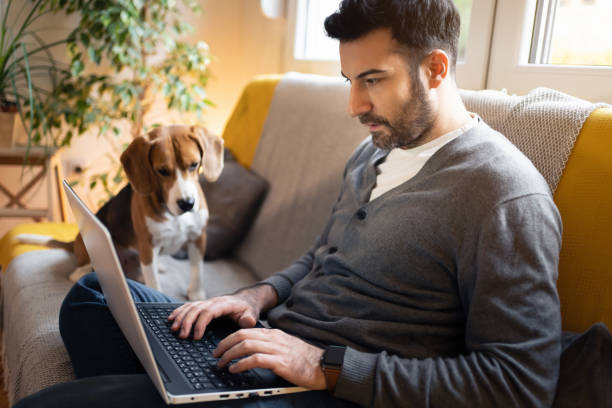 istock Focused man sitting on sofa and working on laptop, while his dog observing him 1358273870