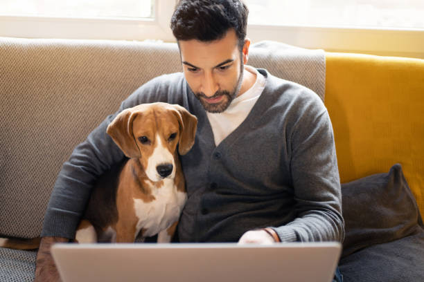 istock Man sitting on the sofa with his dog while having a video call on laptop 1358274531