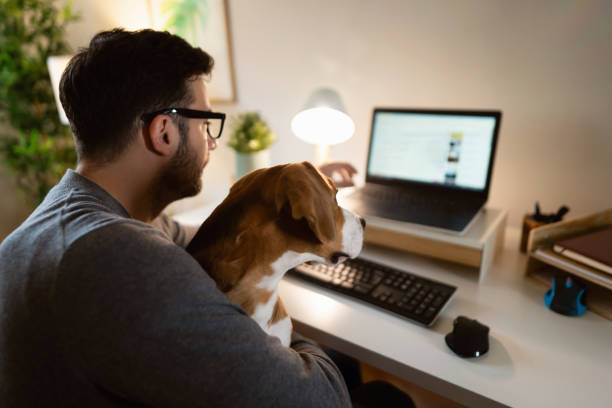 istock While holding his dog in the lap, Caucasian man working on laptop 1358274582