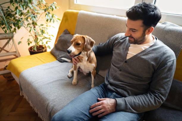 istock Caring Caucasian man embracing his cute Beagle dog 1358274631