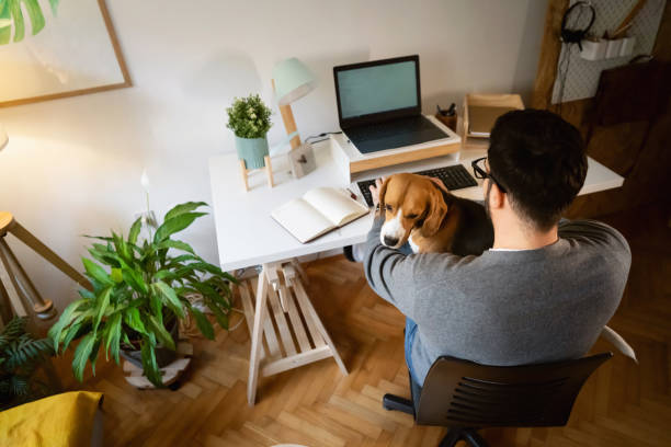 istock As a new normal, modern and responsible man working from home 1358274766