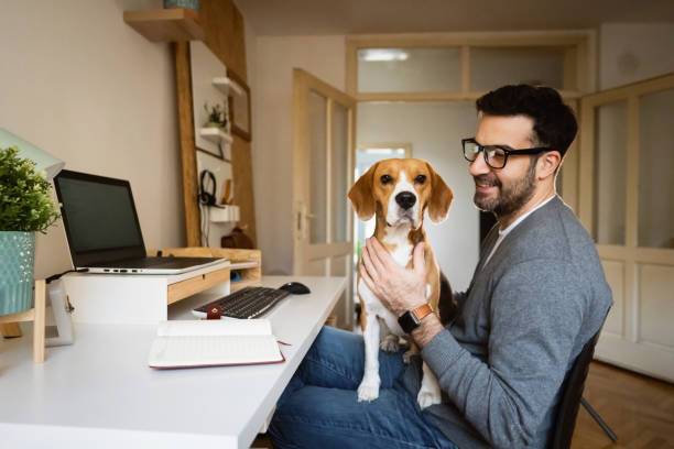 istock Cheerful man whiel taking a break from work, petting his cute Beagle dog 1358274919