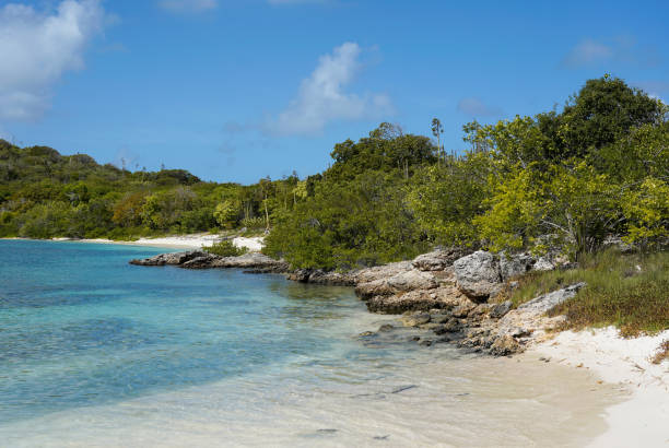 istock Small sandy beach with water, Green Island, Antigua 1358276524