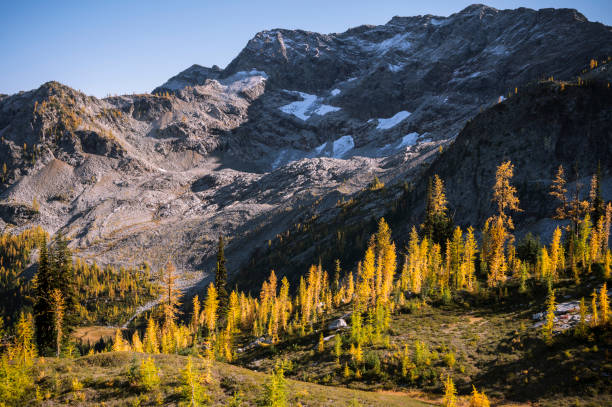 istock Incredible mountain scene with golden larches 1358280447