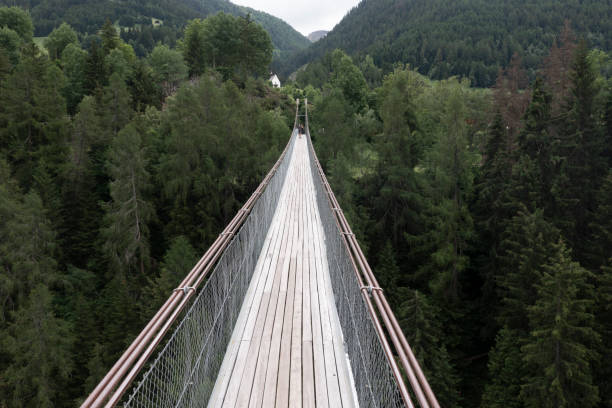 istock suspension bridge over forest from aerial view 1358281005