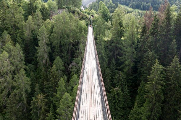 istock suspension bridge over forest from aerial view 1358281027
