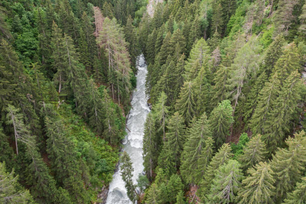 istock forest and river from aerial view 1358281034