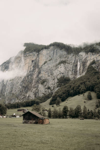 空中写真から滝とスイスの谷 - jungfrau waterfall tree nature ストックフォトと画像