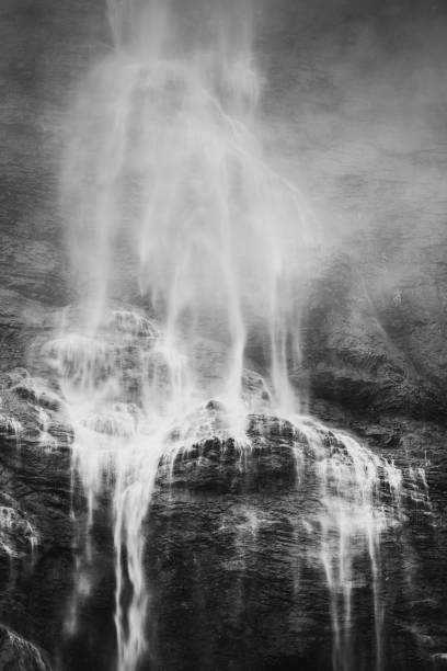 swiss waterfall in long expo - jungfrau waterfall tree nature imagens e fotografias de stock