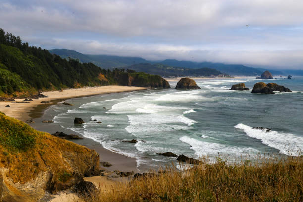 istock Ecola State Park near Cannon Beach, Oregon 1358282505