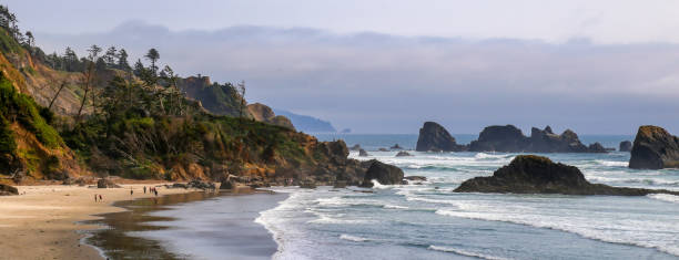 istock Ecola State Park near Cannon Beach, Oregon 1358282516