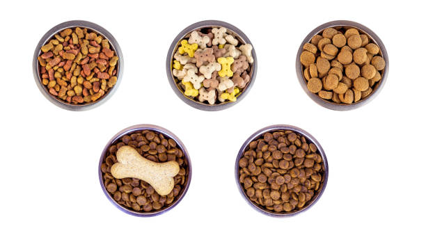 Top view of brown biscuit bones and crunchy organic kibble pieces for dog feed in a metal bowl set isolated on white background. Healthy dry pet food concept Top view of brown biscuit bones and crunchy organic kibble pieces for dog feed in a metal bowl set isolated on white background. Healthy dry pet food concept. dog food photos stock pictures, royalty-free photos & images