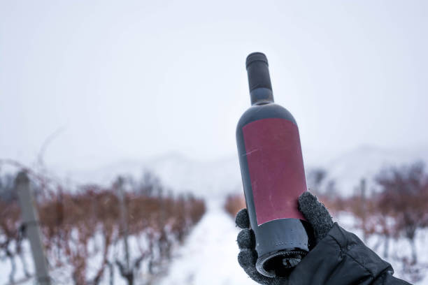 istock Wine in nature in the snow 1358283621
