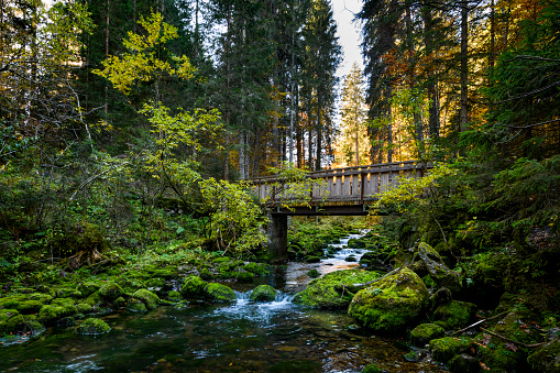 Small creek flowing between moss covered rocks underneath a bridge through the forest. Vorarlberg, Riezlern