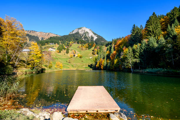 A beautiful pond with a colorful forest beside, a jetty in the foreground and mountains in the background during autumn. Vorarlberg, Fontanella