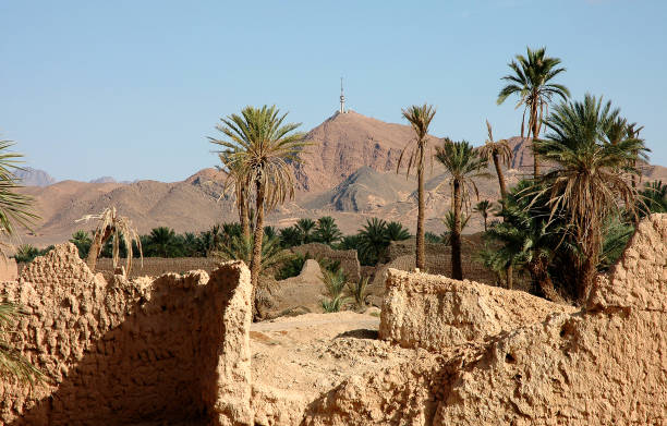 istock Palm grove of  Figuig in south-eastern Morocco 1358287880