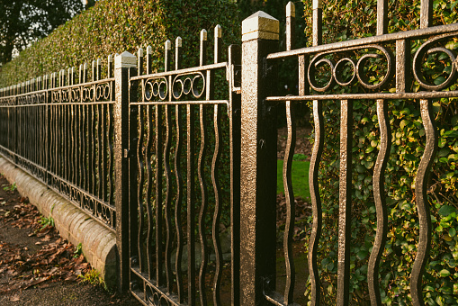 Shallow focus of a wrought Iron Gate seen against a well maintained privet hedge leading to a large house. Recently painted.