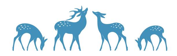 사슴 01 - stag deer doe cartoon stock illustrations