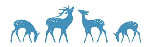 deer 01 Beautiful silhouettes deer on white background. Winter elements for decor and holiday postcards. Vector illustration doe stock illustrations