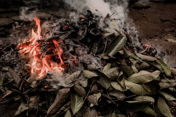 istock Garbage pile of dry leaves on fire 1358300827