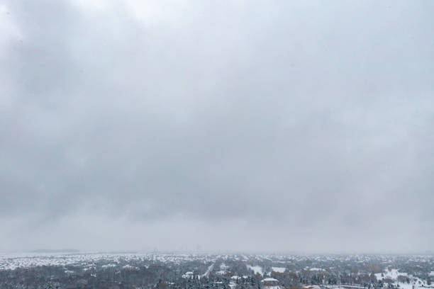 istock Boyd Conservation Park in winter, Woodbridge, Canada 1358309250