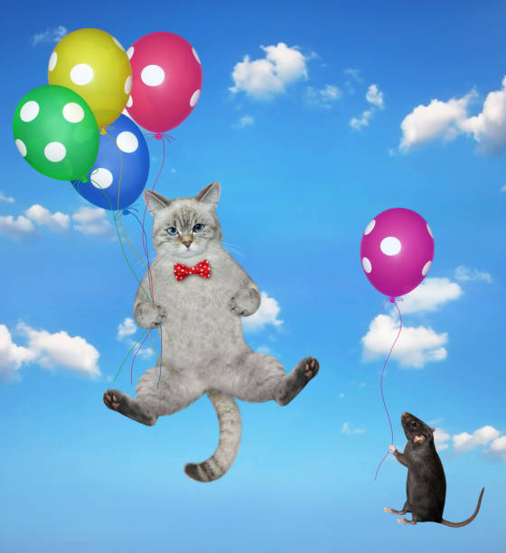 istock Cat ashen with balloons flying in sky 1358311927