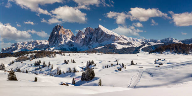 día de invierno perfecto en alpe di siusi con vistas a sassolungo y sassopiatto, dolomitas, italia - montañas dolomita fotografías e imágenes de stock