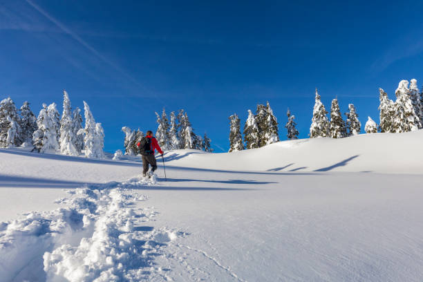 istock Man on hike in  snowshoes in Winter Scenery 1358312667
