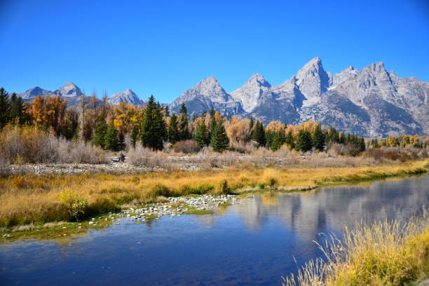 istock The Grand Tetons and Oxbow Bend 1358315185