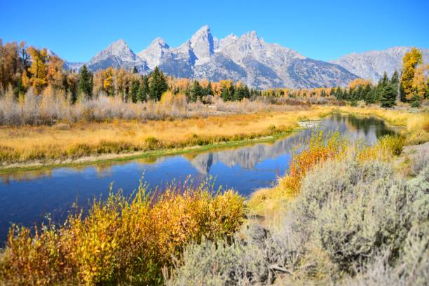 istock The Grand Tetons and Oxbow Bend 1358315447