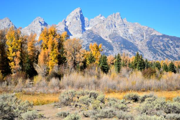 istock The Grand Tetons and Oxbow Bend 1358316506