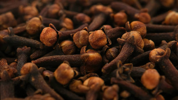 cooked cloves, which have been dried, ready to use for flavor and odor enhancer, - have imagens e fotografias de stock