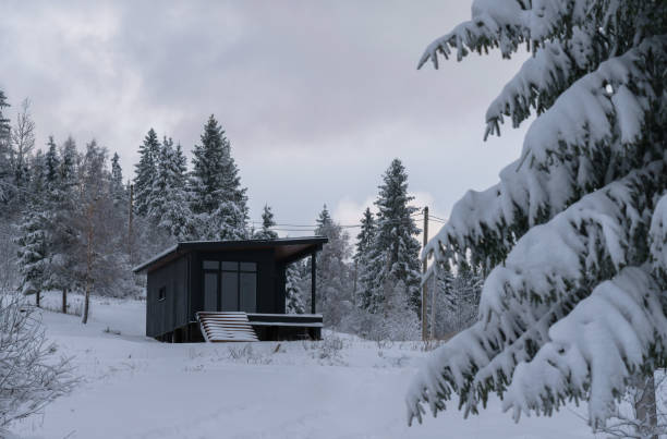 istock Modern black color cabin hidden in snowy pine forest. 1358324669