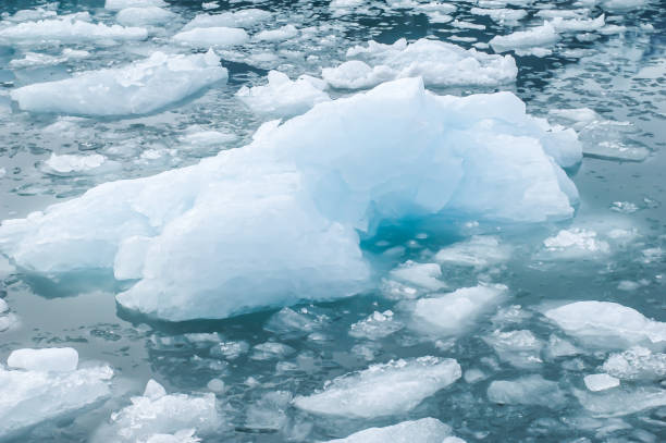 istock Glacier Ice in Prince William Sound 1358324902