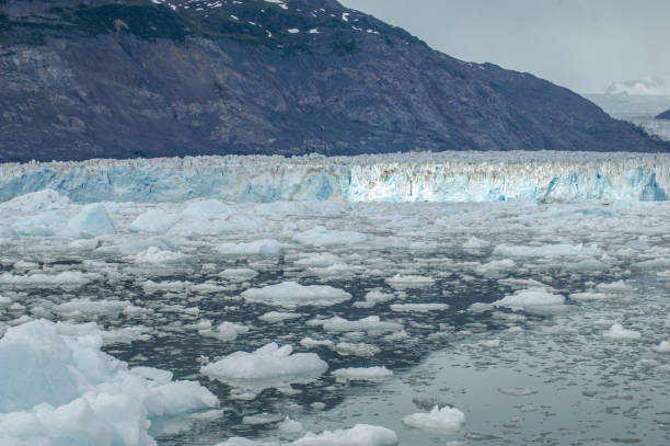 istock Glacier Ice in Prince William Sound 1358324903