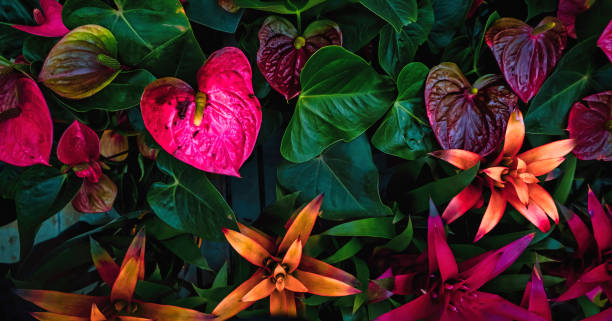 istock Floral pattern blossom flowers lilies  Amazing jungle foliage 1358325764