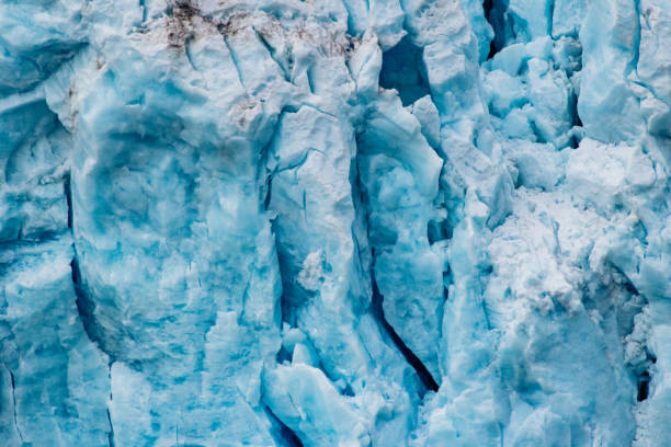 viewing a massive, stunning glacier at kenai fjords national park in alaska, usa - ice cold glacier blue imagens e fotografias de stock